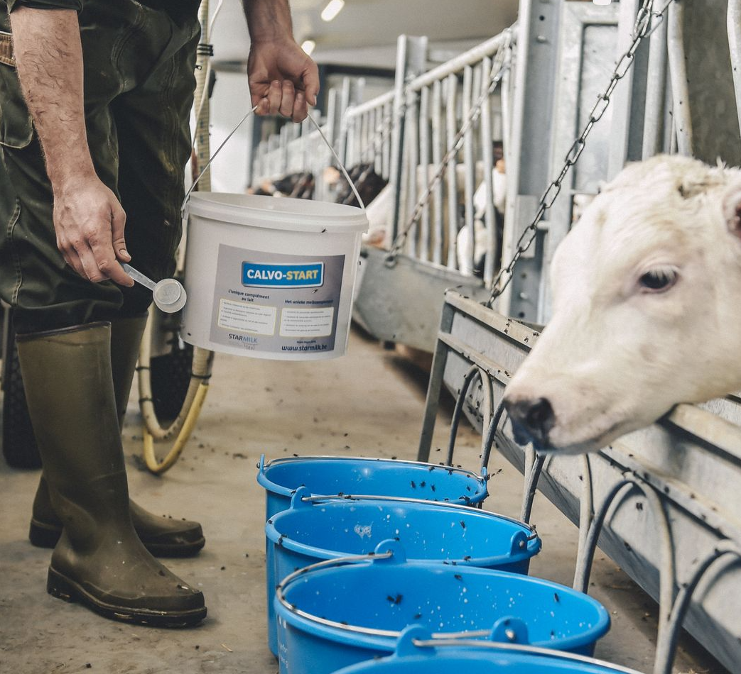 Colostrum
