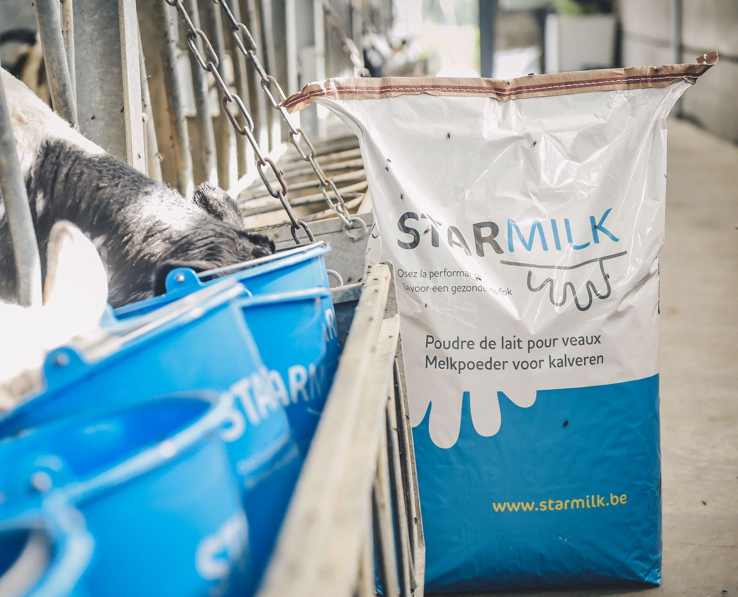 sac de poudre de lait dans l'étable