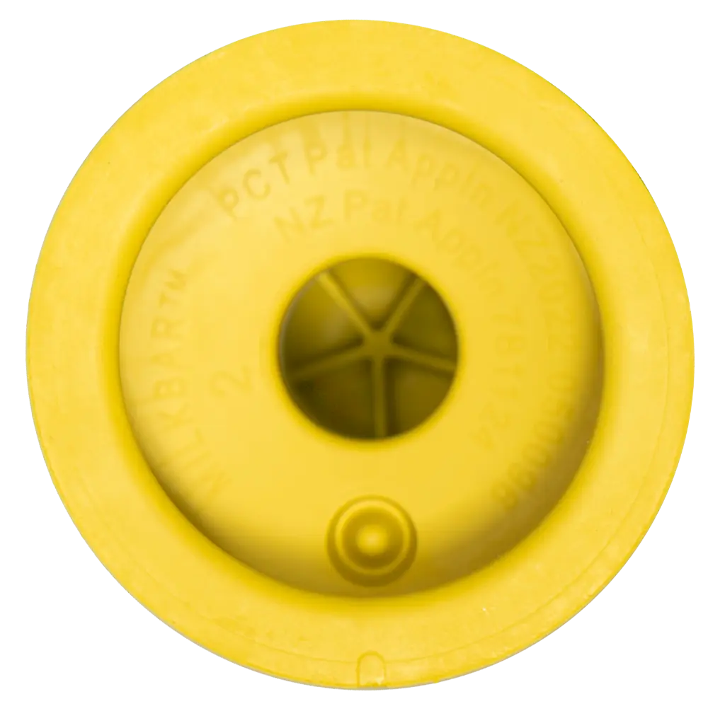 Revolution Training back.webp