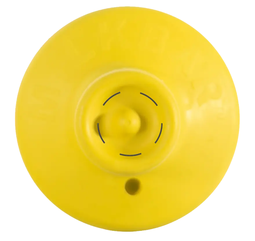 Revolution Training front.webp